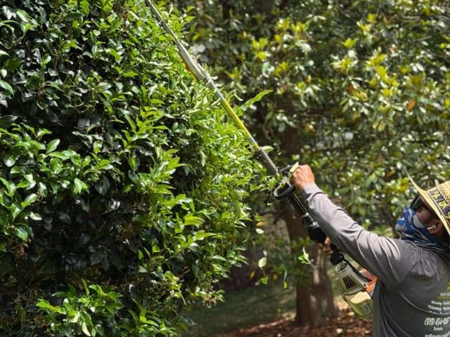 About Sol Landscaping LLC