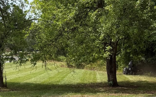 Recurring Lawn Mowing Services