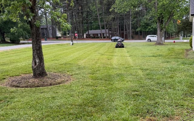 Lawn Mowing