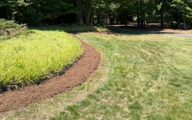 Overseeding Services