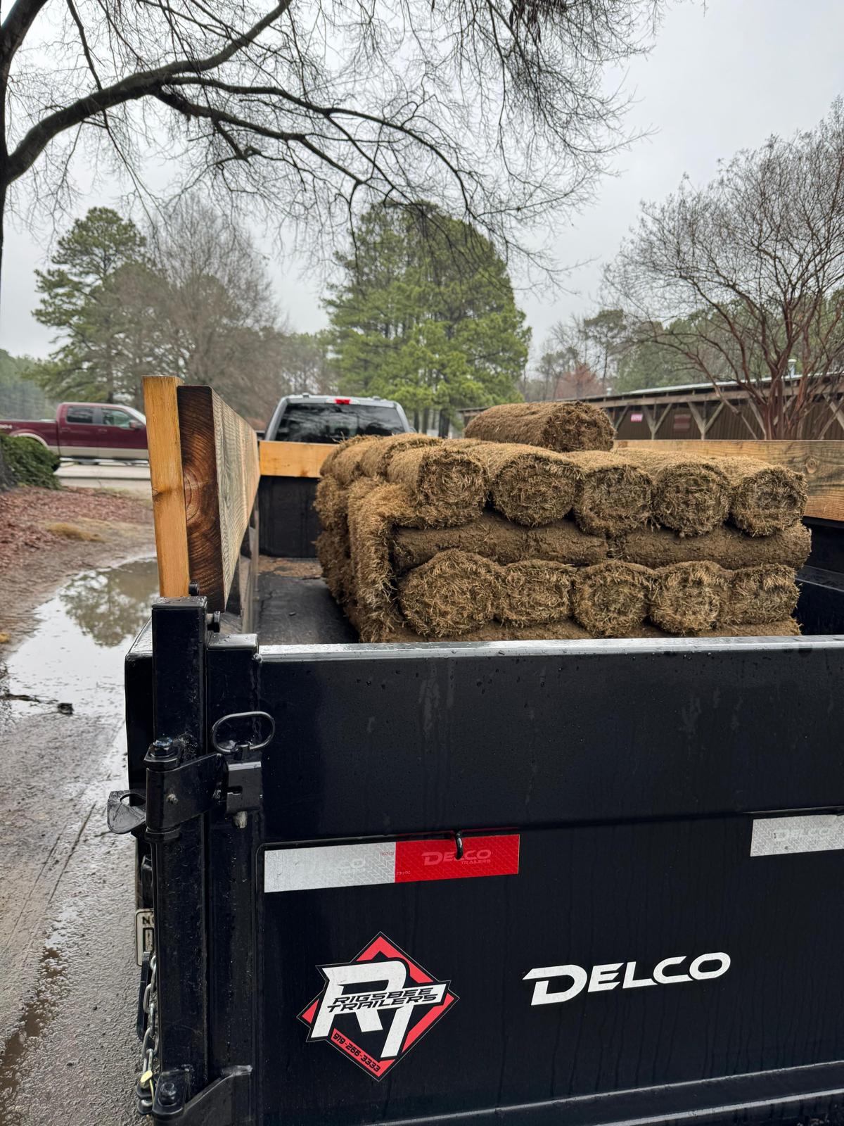 Sod Repair in Durham, NC