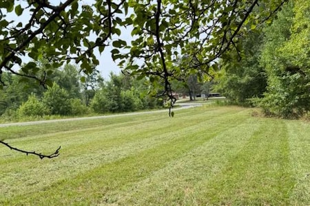 Landscaping Thumbnail