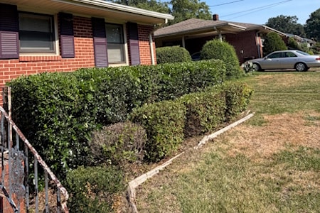 Lawn Aeration Thumbnail