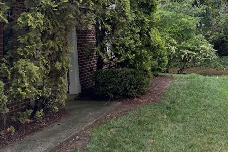 Lawn Fertilization Thumbnail