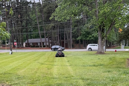 Lawn Mowing Thumbnail