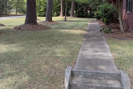 Overseeding Thumbnail