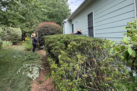 Planting Services Thumbnail